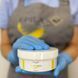 Цукрова паста для шугарингу Epilax Classic Bandage 350 г &mdash; бандажна, професійна, для корекції щільності 20232 фото 1